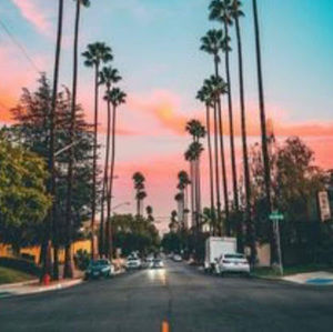 Meet your Posher, Tyshika